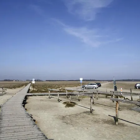 Ferienwohnung, St Peter - Ording